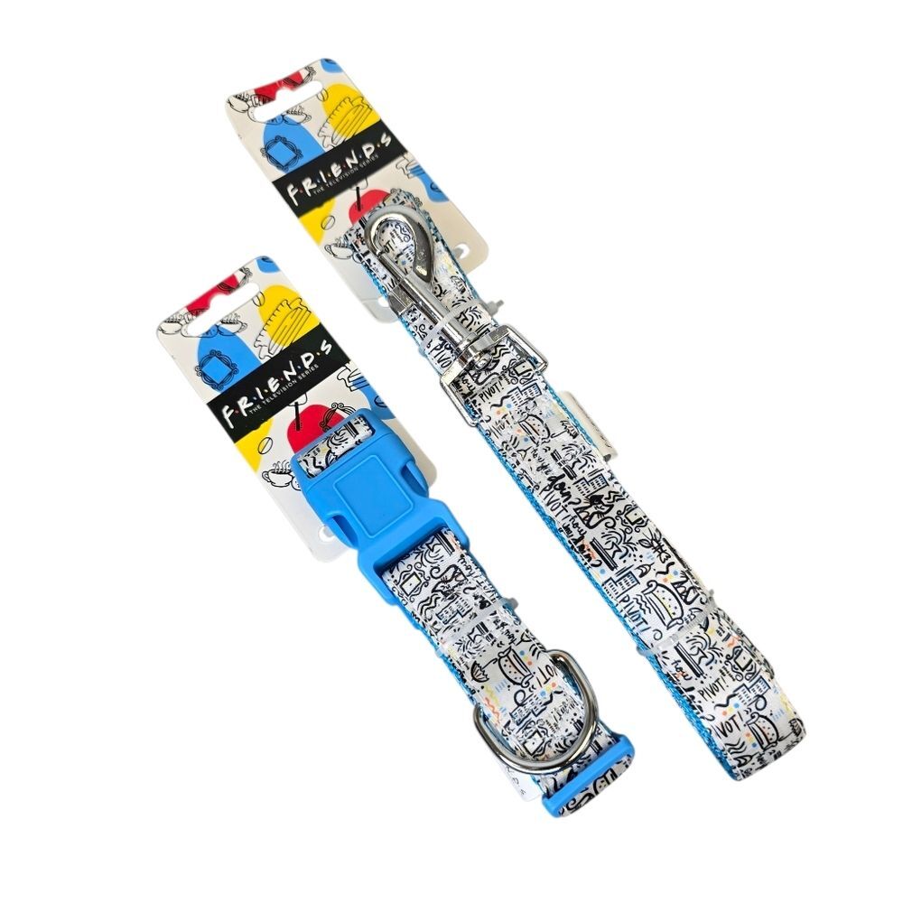 NWT FRIENDS Colorful Doodle Graphic Pet Collar & Leash Set Large